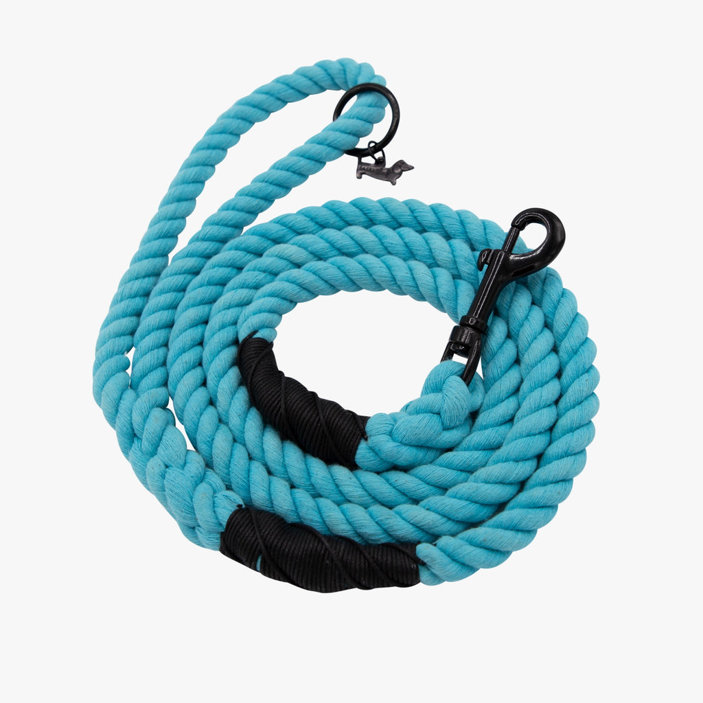 Sassy Woof Dog Rope Leash- Neon Blue - Lake Effect