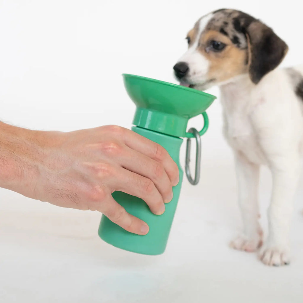 Mini Travel Dog Water Bottle - Lake Effect