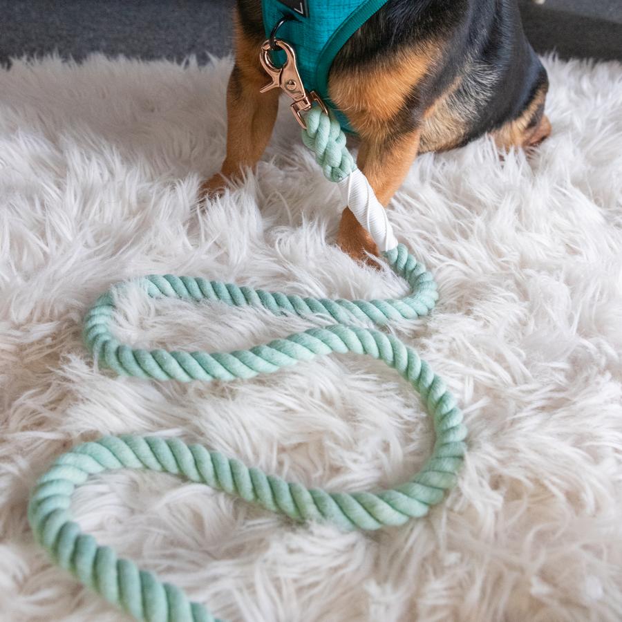 Sassy Woof Dog Rope Leash- Mint to Be - Lake Effect