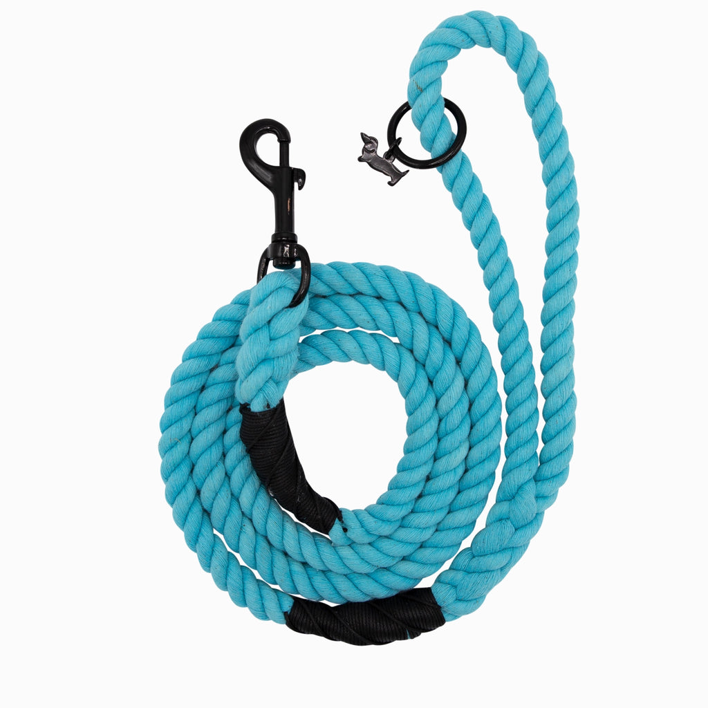 Sassy Woof Dog Rope Leash- Neon Blue - Lake Effect