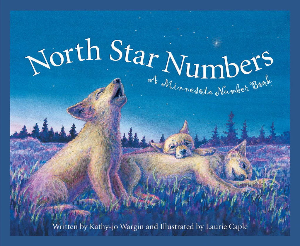 North Star Numbers: A MINNESOTA Number book - Lake Effect