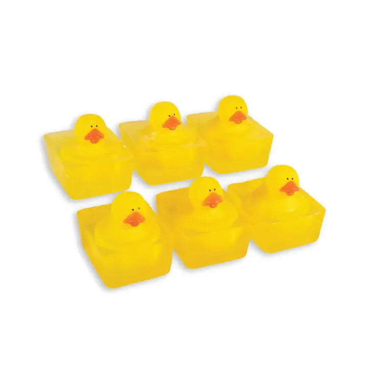 Traditional Duck Toy Bar Soap - Lake Effect