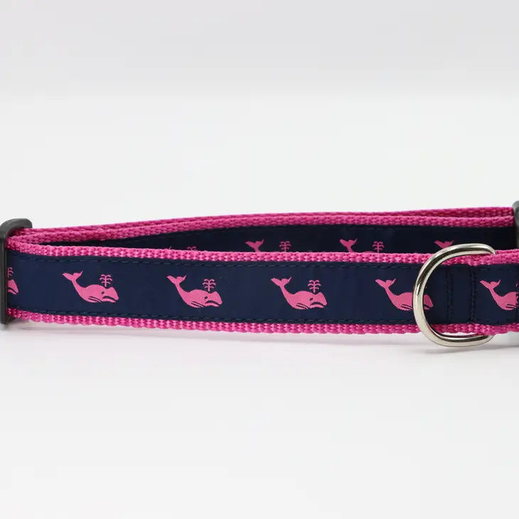 Preston dog collars 2025