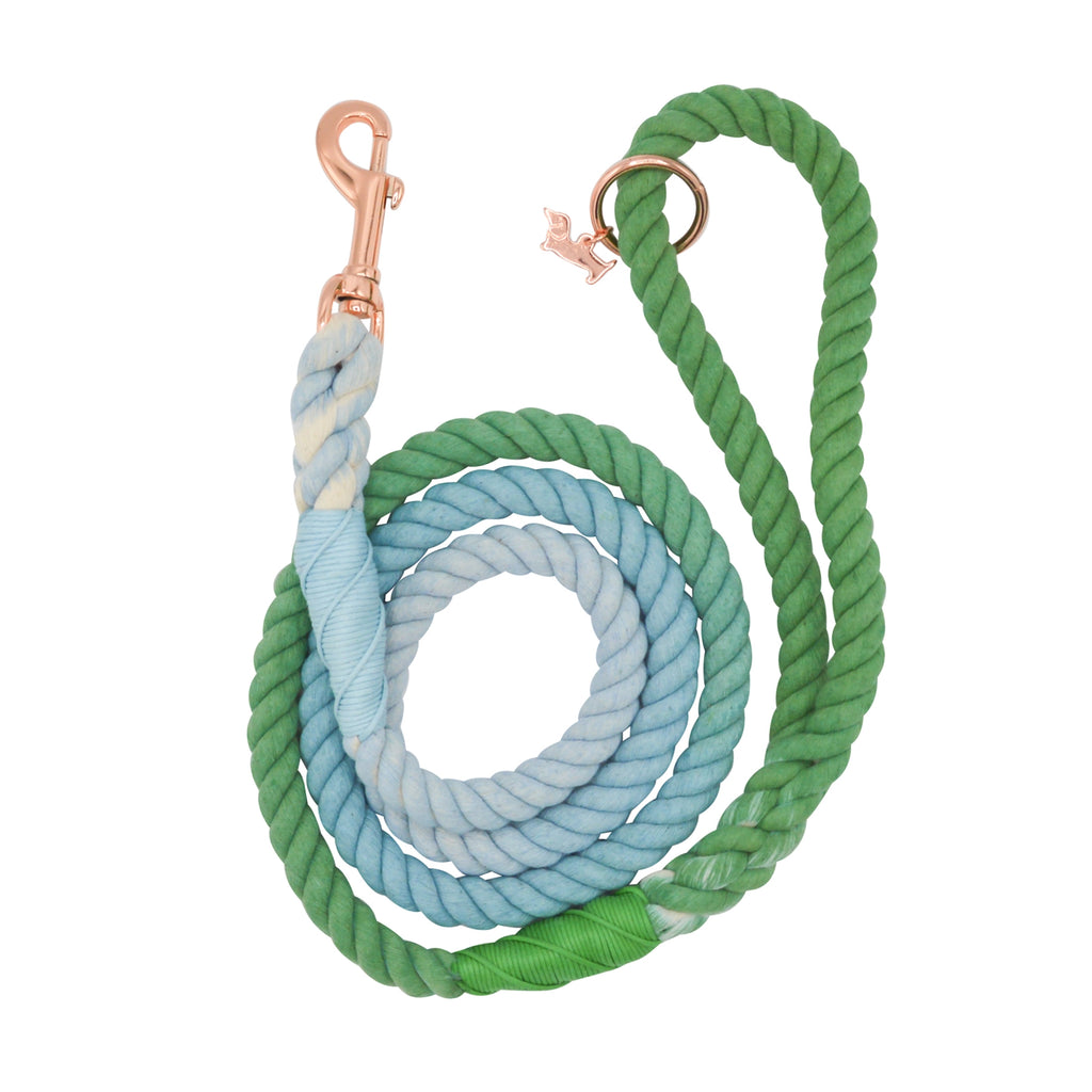 Sassy Woof Dog Rope Leash- Minty - Lake Effect