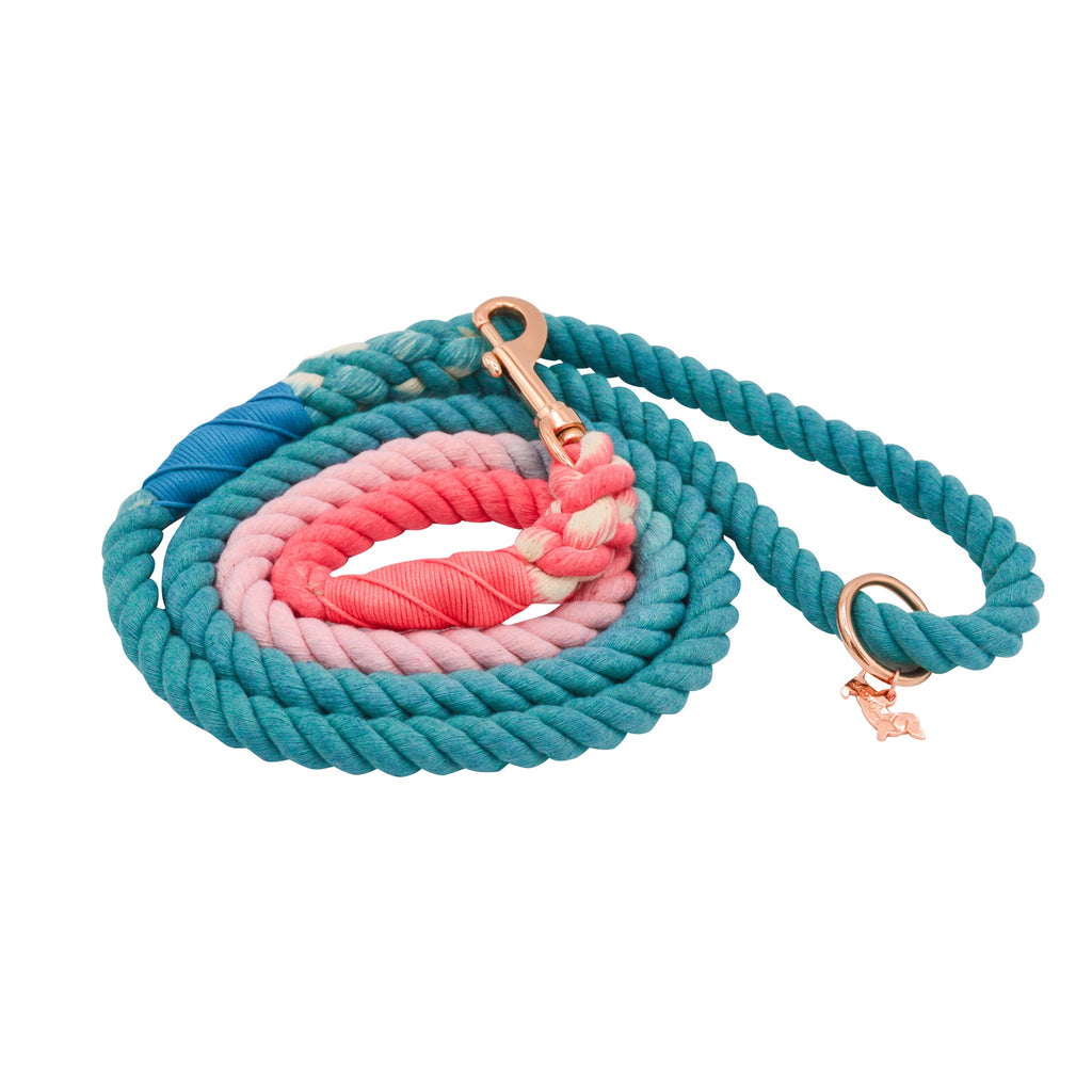 Sassy Woof Dog Rope Leash- Jack & Jill - Lake Effect