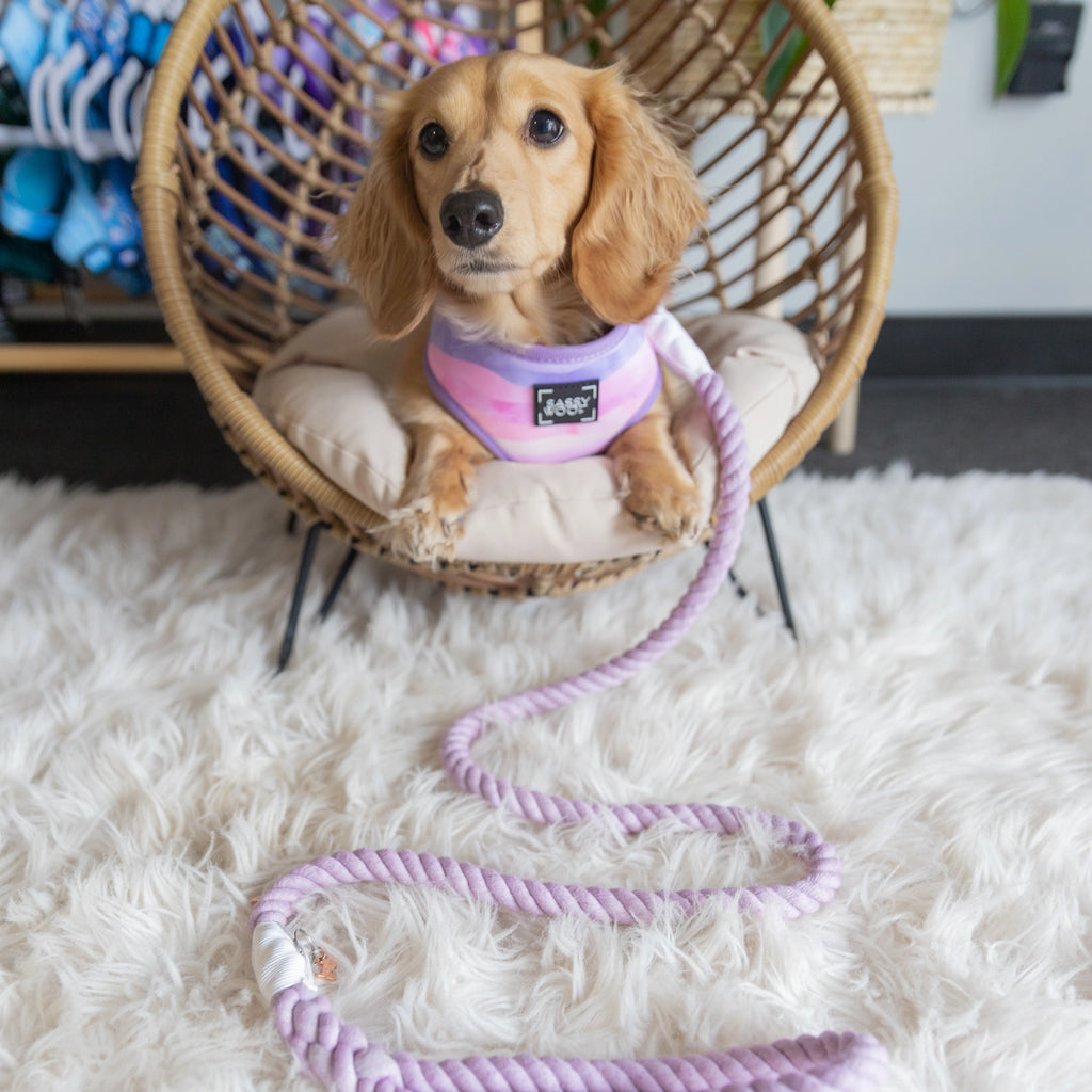 Sassy Woof Dog Rope Leash- Lavender - Lake Effect