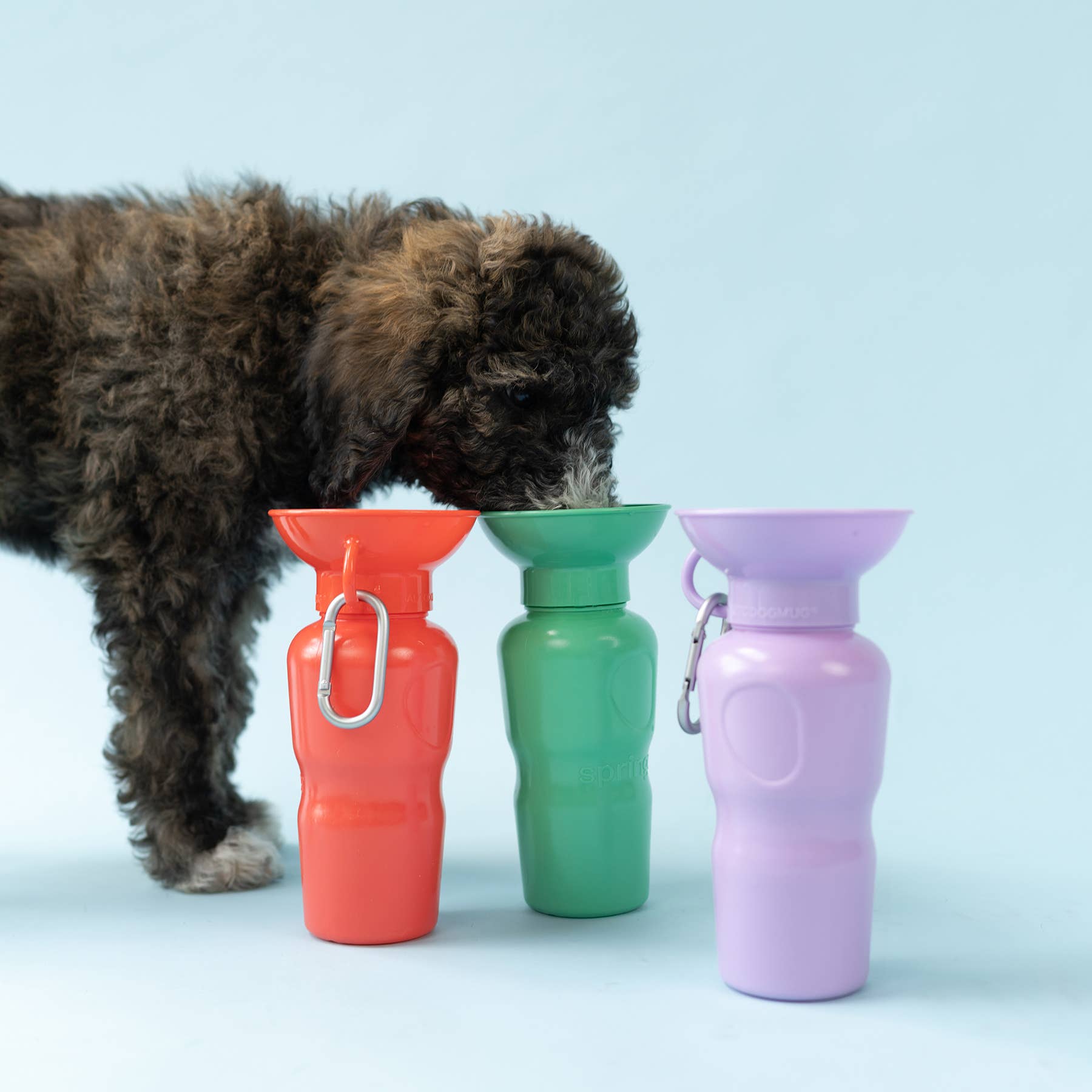 Classic Dog Travel Water Bottle