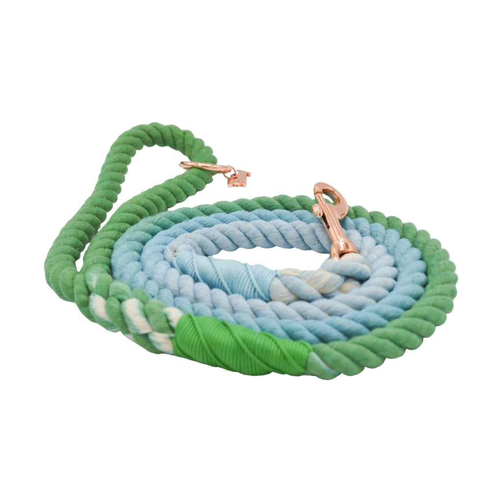 Sassy Woof Dog Rope Leash- Minty - Lake Effect