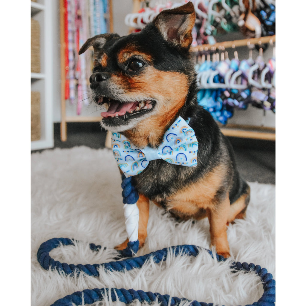 Sassy Woof Dog Rope Leash- Nautical - Lake Effect