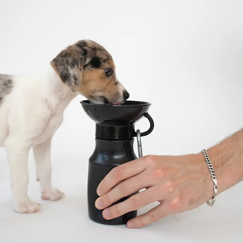 Mini Travel Dog Water Bottle - Lake Effect