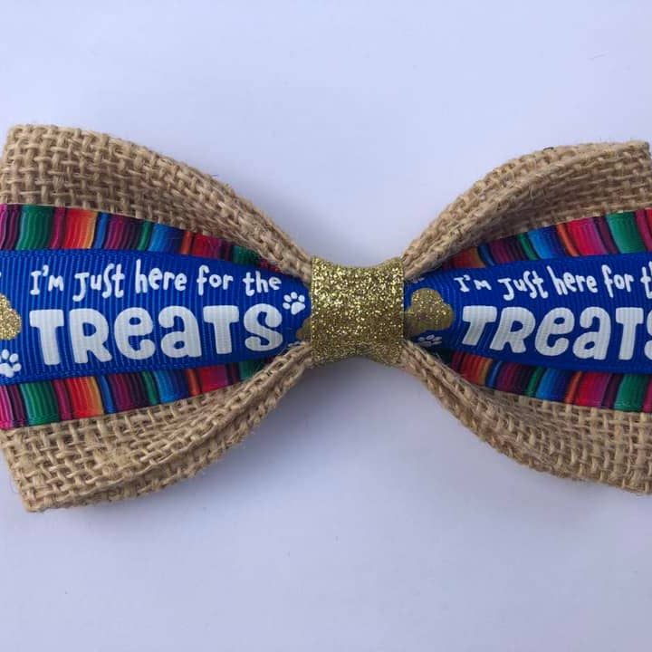 Blue Here For Treats Dog Bowtie - Lake Effect