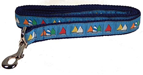 Light Blue Rainbow Fleet Dog Collar and/or Leash by Preston - Lake Effect