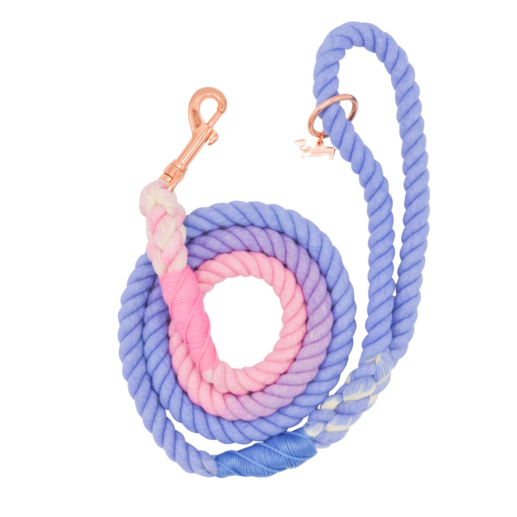 Sassy Woof Dog Rope Leash- Victoria - Lake Effect