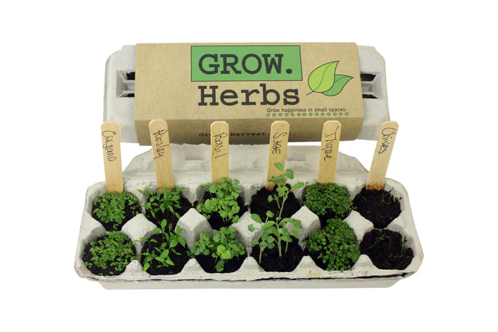 Herb Grow Garden - Lake Effect