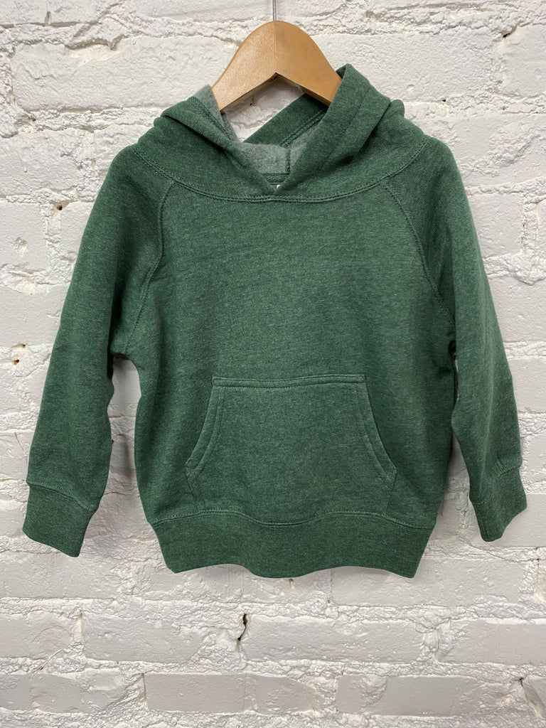 North Star Pines Toddler Hoodie - Lake Effect