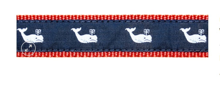 White Whale Dog Collar and/or Leash by Preston Lake Effect