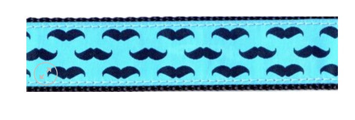 Mustache Dog Collar and/or Leash by Preston - Lake Effect
