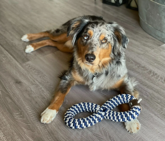 Braided Infinity Dog Toy by Tall Tails - Lake Effect