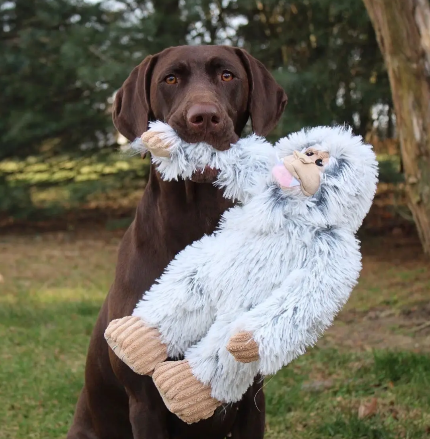 Plush Yeti Dog Toy by Tall Tails - Lake Effect