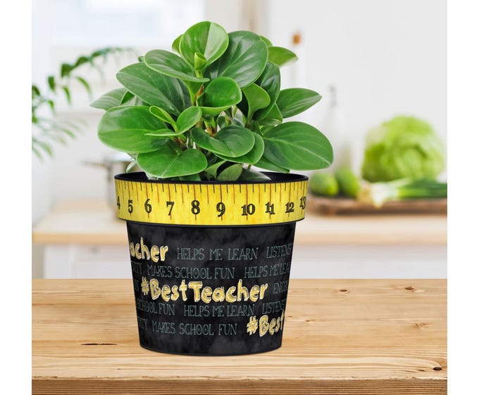 Best Teacher 6" Art Pot by Studio M - Lake Effect