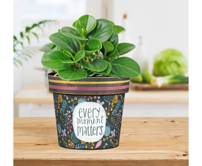 Every Moment Matters 6" Art Pot by Studio M - Lake Effect