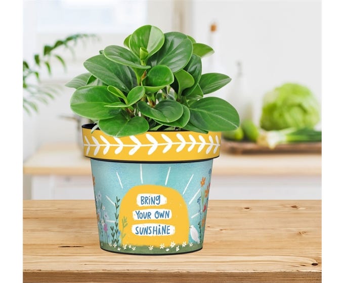 Bring Your Sunshine 6" Art Pot by Studio M - Lake Effect