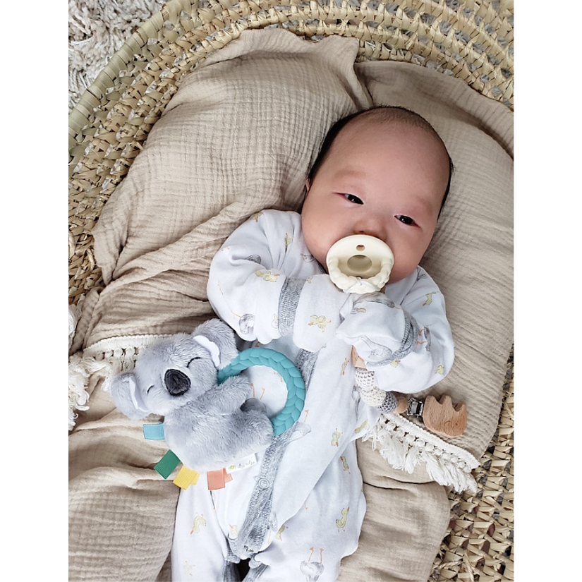 Koala Plush Rattle Pal with Teether - Lake Effect