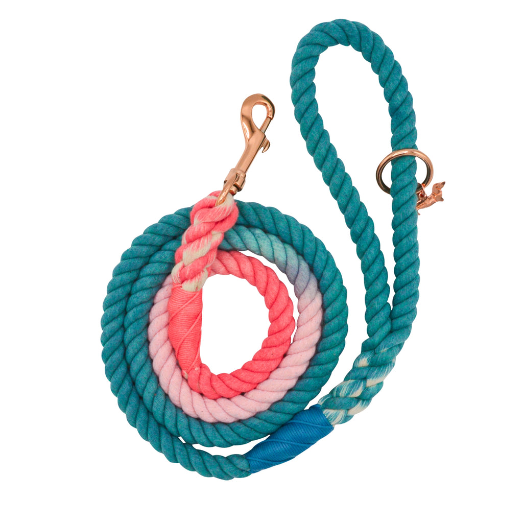 Sassy Woof Dog Rope Leash- Jack & Jill - Lake Effect