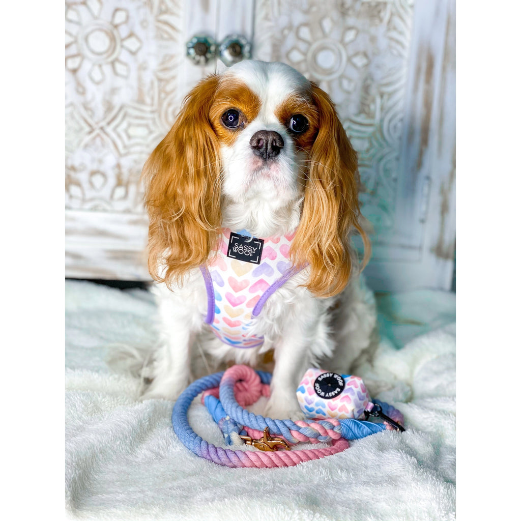 Sassy Woof Dog Rope Leash- Victoria - Lake Effect