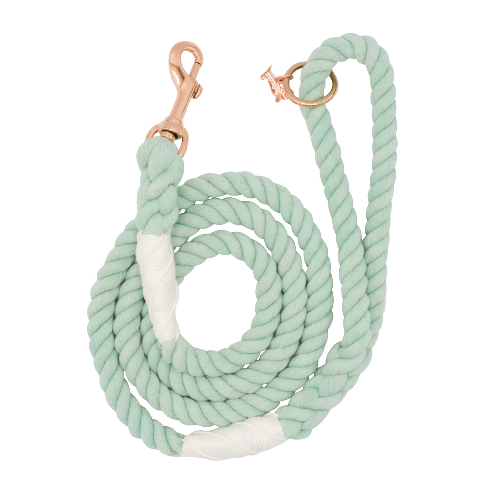Sassy Woof Dog Rope Leash- Mint to Be - Lake Effect