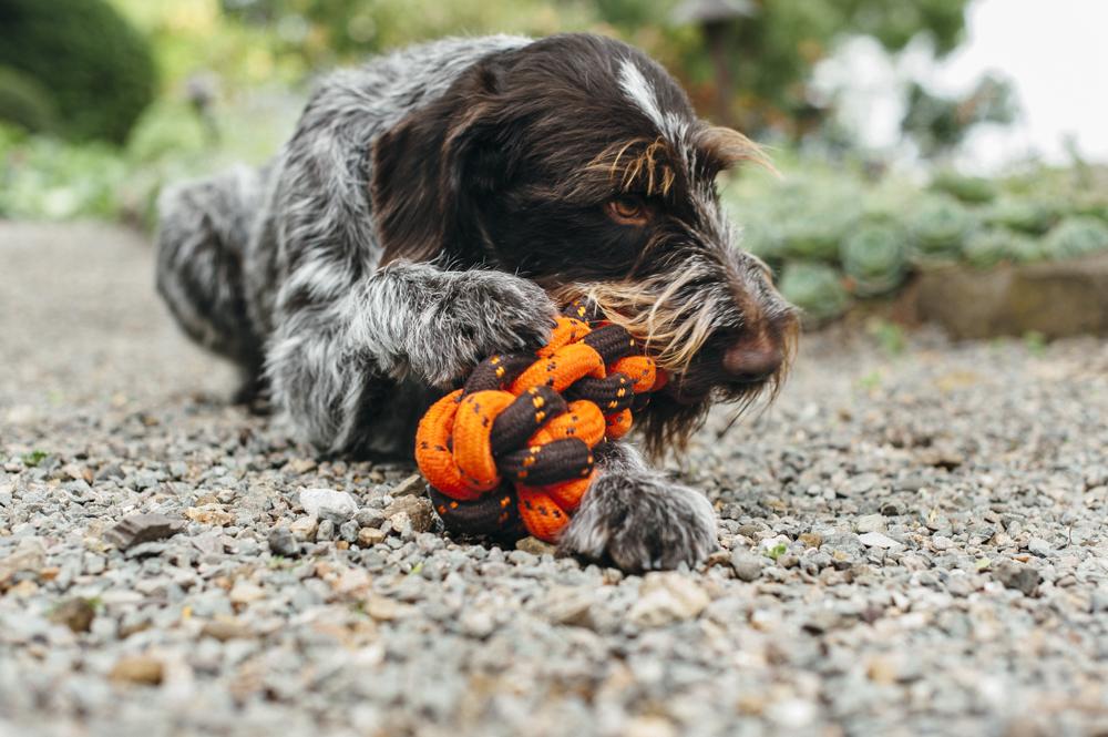 Honeycomb Rope Toy - Lake Effect